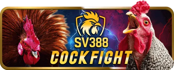 Cài đặt chính sách cookie của Vila88 và quản lý quyền riêng tư